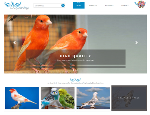 Kaya Birdrings, Kurumsal Web Sitesi